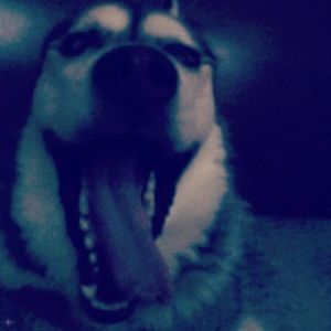 Meet your Posher, Kourtney